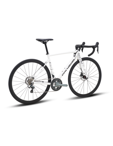 Polygon Strattos S4D