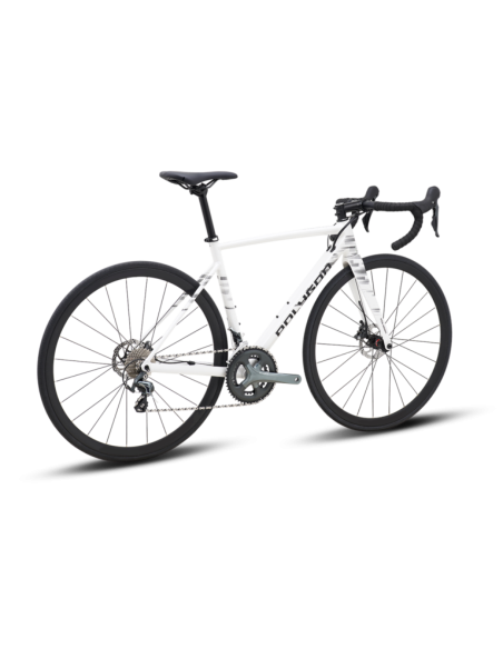 Polygon Strattos S4D