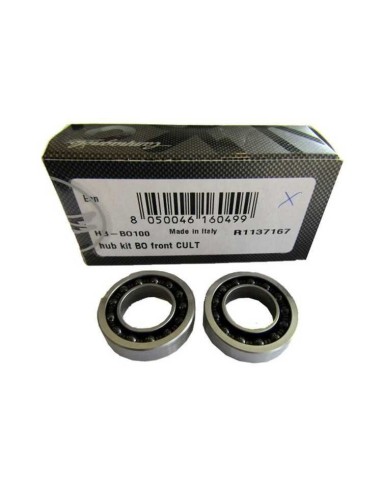 Kit roulements Roues Campa Moyeu USB SH100