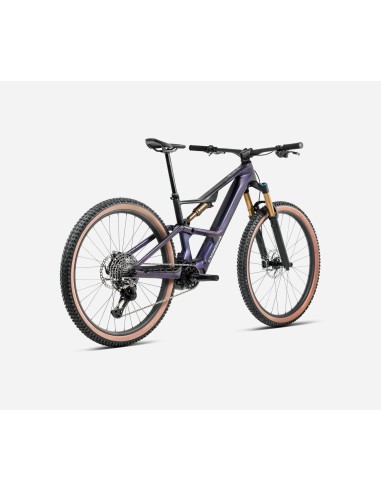 Orbea Rise SL M20 Tanzanite Carbon View - Carbon Raw (Matt)