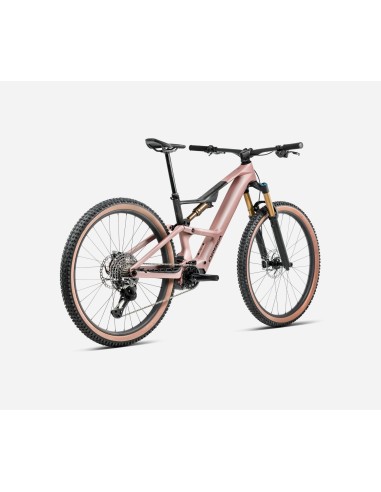 Orbea Rise SL M20 Desert Rose - Carbon Raw (Matt)