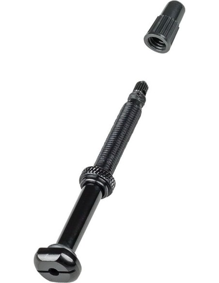 Valve pour Tubeless Bontrager 67mm Noir