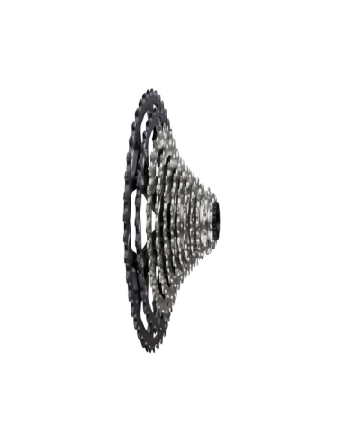 Cassette Shimano  XT M8200 10-51