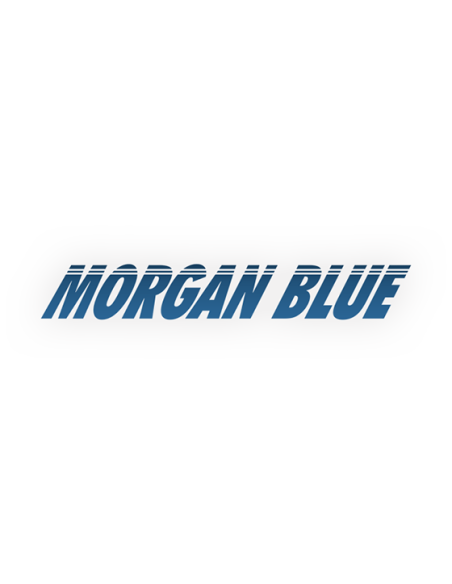 Morgan Blue